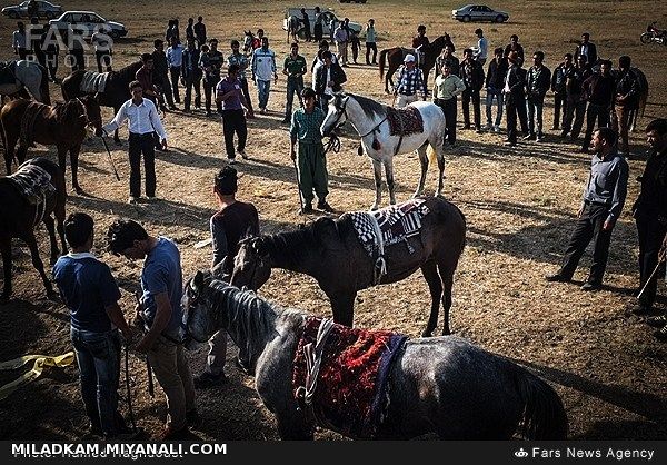 بست ویکمین جشنواره فرهنگی ورزشی عشایر شهرستان کلیبر (قره قیه)