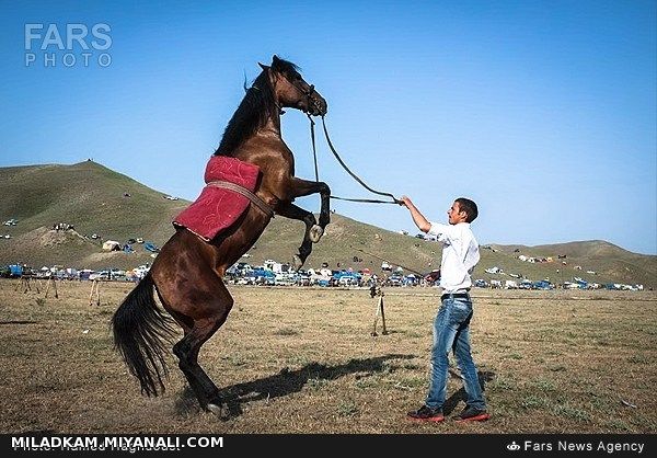 بست ویکمین جشنواره فرهنگی ورزشی عشایر شهرستان کلیبر (قره قیه)