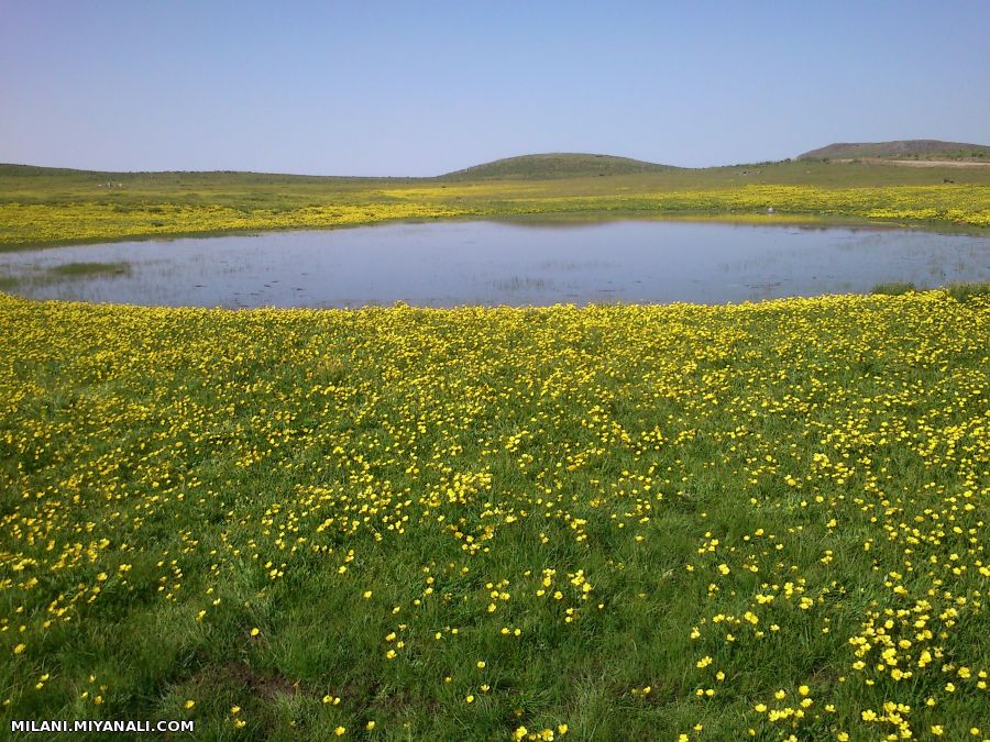 یه عکس خوب از طبیعت زیبای بزقوش میانه