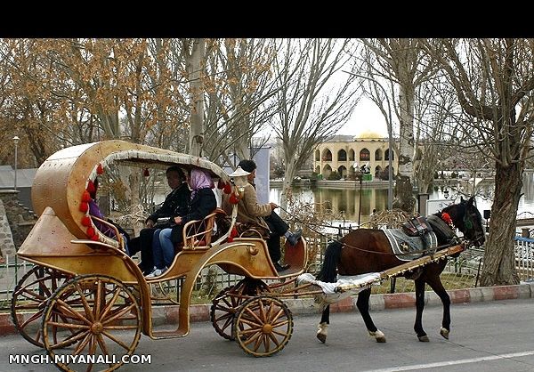 شهر تبریز است وجان قربان جانان می کند