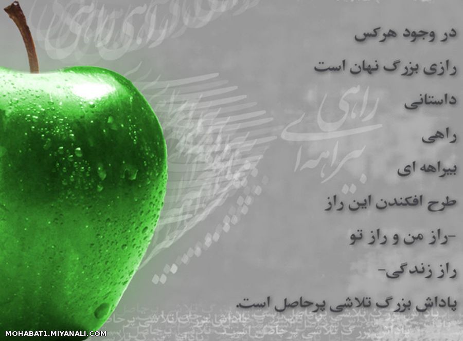 زندگی 