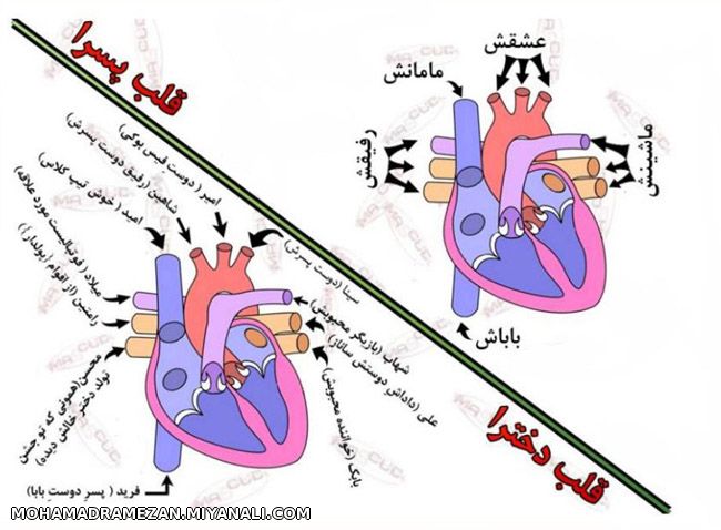 تفاوت قلب دخترا و پسرا  ههه