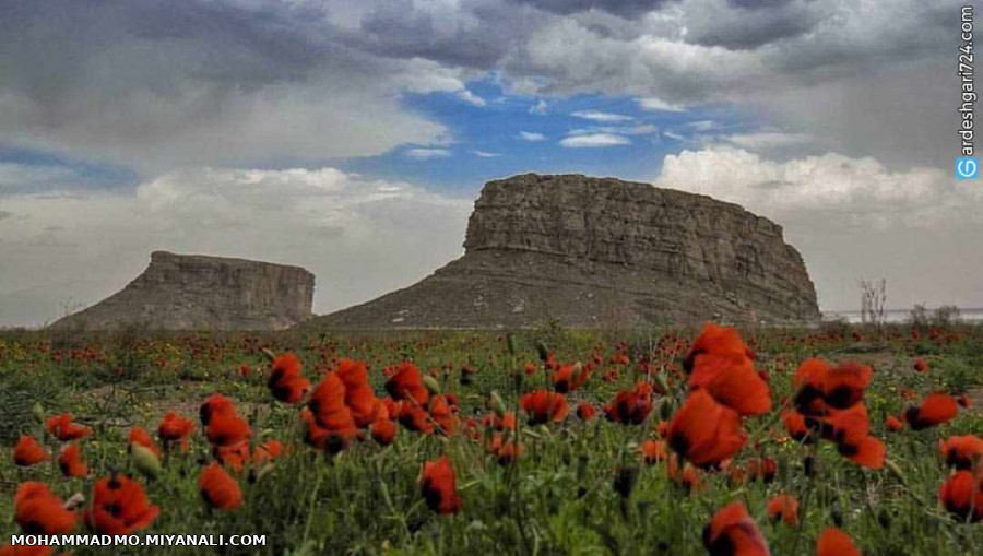 گوورچین قالا نین کاظم داشی