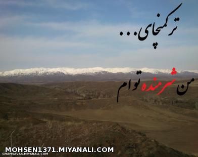 ترکمنچای من شرمنده توام.