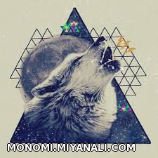 triangle wolf