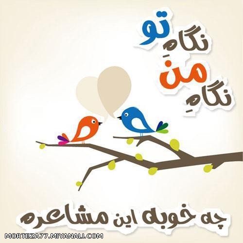 عاشقانه