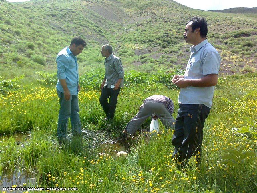 از راست:پسر عمه ی عزیزم"بابا جونم" دوتا عمو های نازم