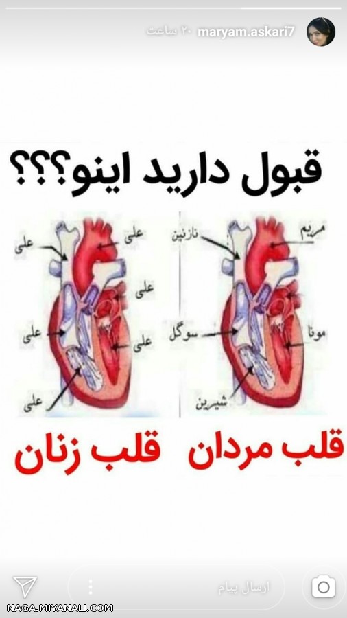 قبول دارید؟؟؟