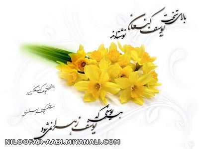 یوسف زهرا