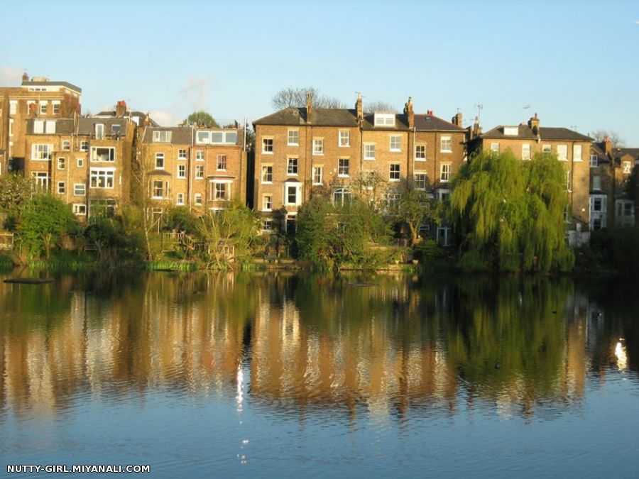 Hamstead Heath, London