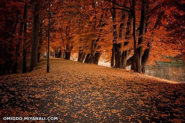 طبیعت زیبا...(البرز،برغان)