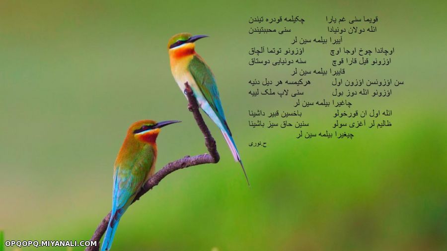 قویما سنی غم یارا