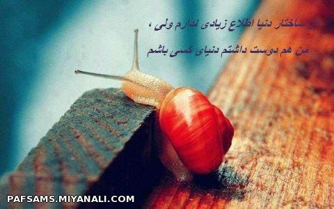 من هم دوست داشتم دنیای کسی باشم