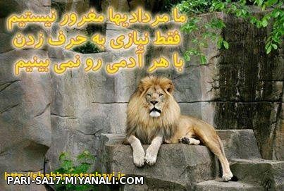 من یه مردادیم...باید حرف حرف من باشه !!!