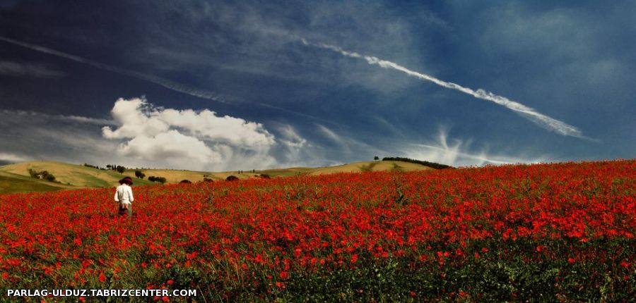 دوشوب عشقین باشما ای سنه قربان گوزلیم