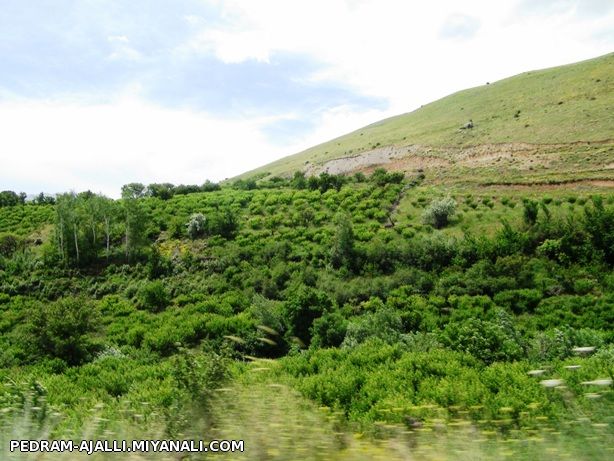 روستای سیدلر