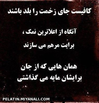 کافیست جای زخمت را بلد باشند