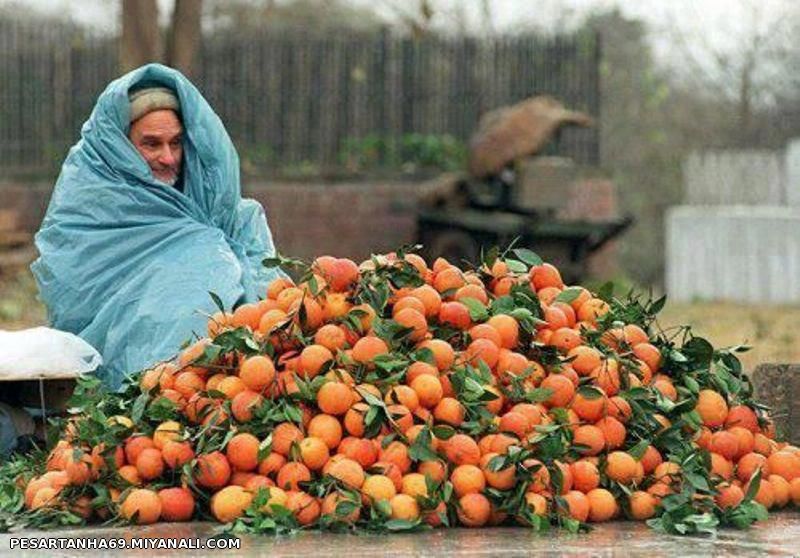 خـدا هیچ پــدری رو شرمنده زن و بچش نکنه ... هـیچوقت !