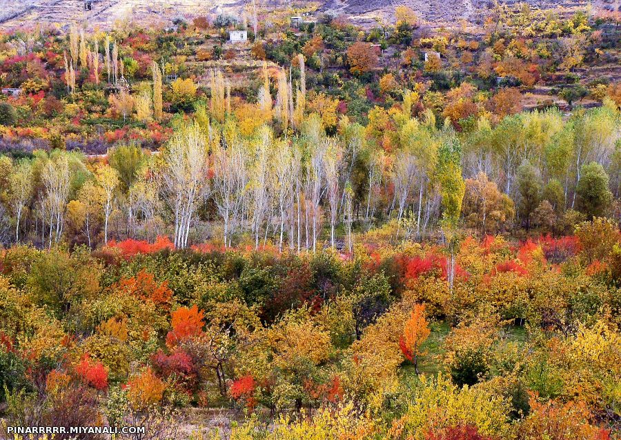 طبیعت فوق العده زیبای پاییزی...