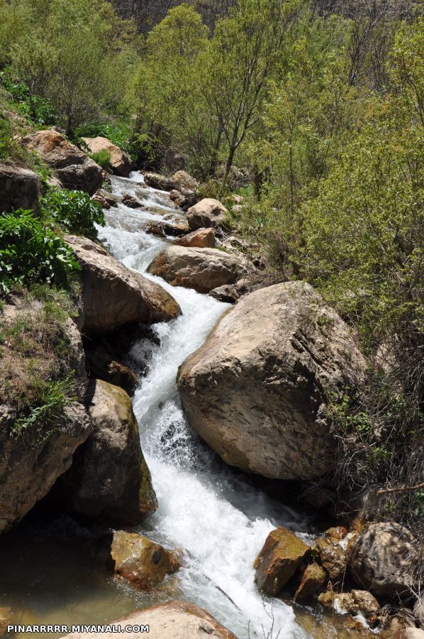 آبشار نره گر