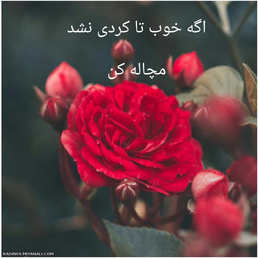 به همین راحتی....!!!