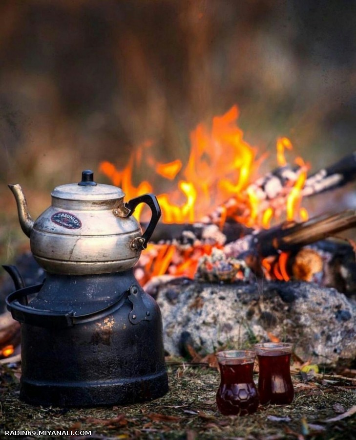 به موقع آمدی و هستی عشقم ...