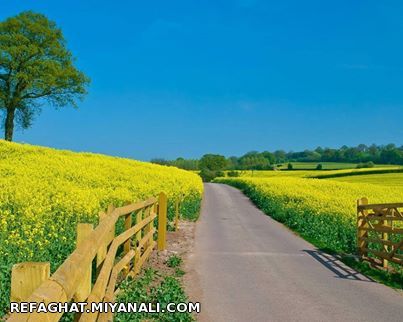 زندگی مانند رانندگی ، در یک دشت زیباست ...