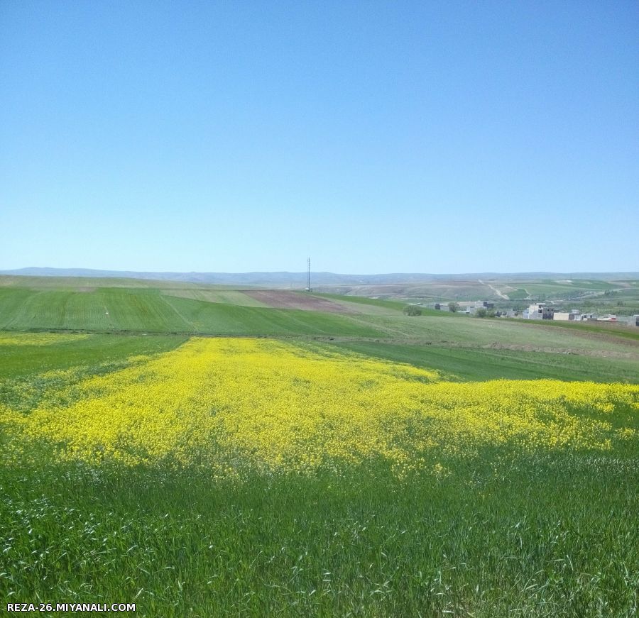 زیبا ببینیم...