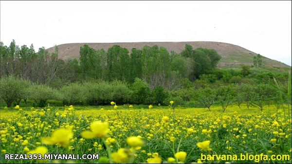 تپه باستانی صومعه علیا