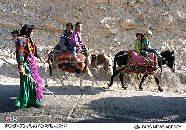 زنان در مسیر تاریخ1391