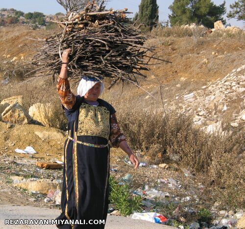 زنان و مسیر تاریخ