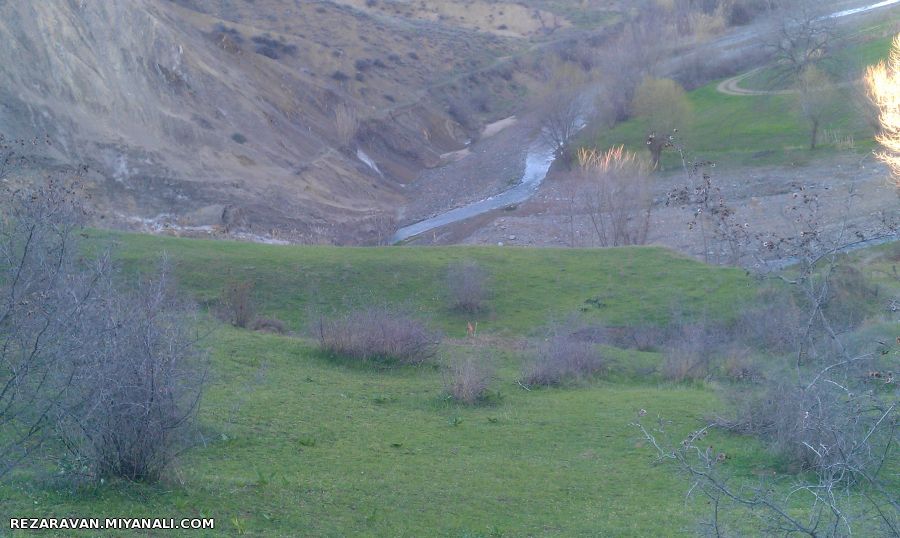 منظره روبروی روستای زربیل و سلین چای