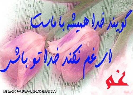 شعر