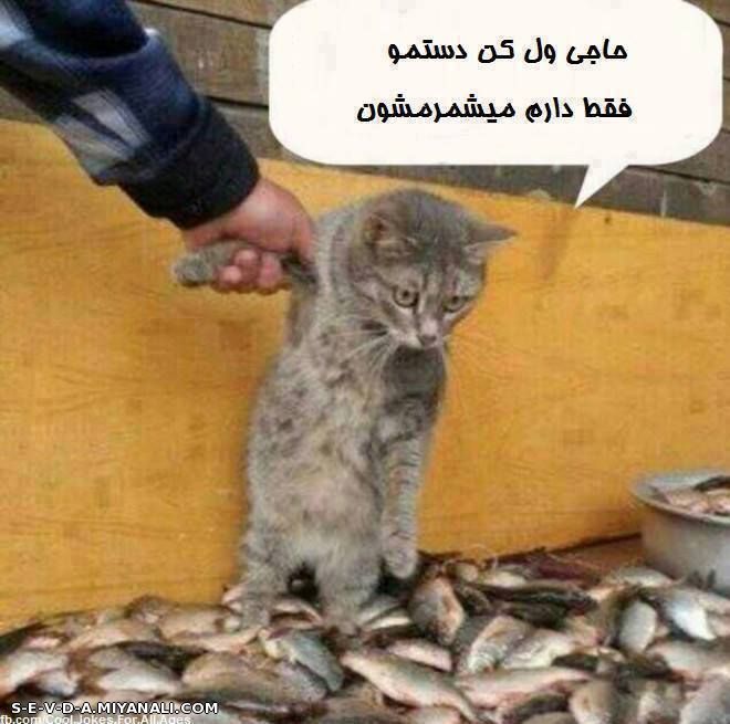 هههههه