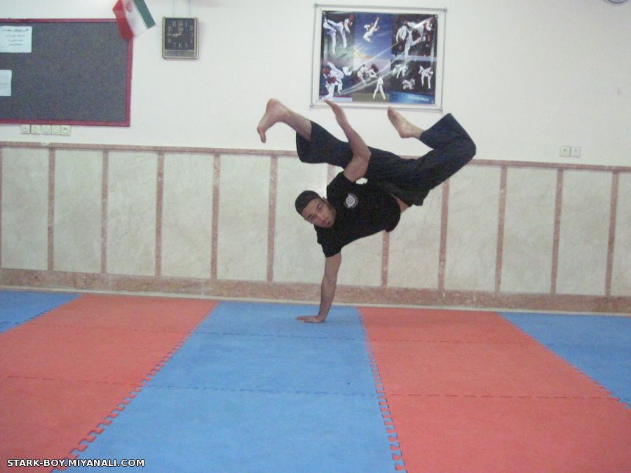 HAPKIDO