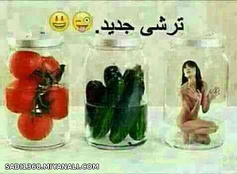 ترشی جدید