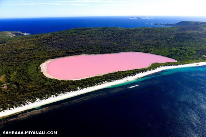 دریاچه هیلیر در استرالیا (lake hillier)