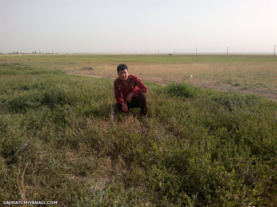 تصاویریــــــ از محمـــــد سجیراتیــــــ__روستای صحینات-