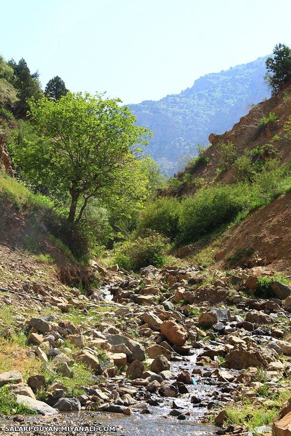 یک روز زیبا همراه با کوهنوردان میانه در دامان طبیعت بکر و فوق العاده خلخال