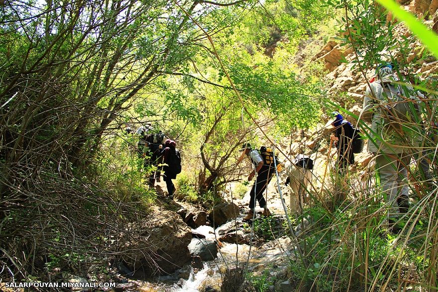 یک روز زیبا همراه با کوهنوردان میانه در دامان طبیعت بکر و فوق العاده خلخال