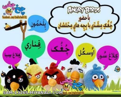 Angry Birds مشهدی