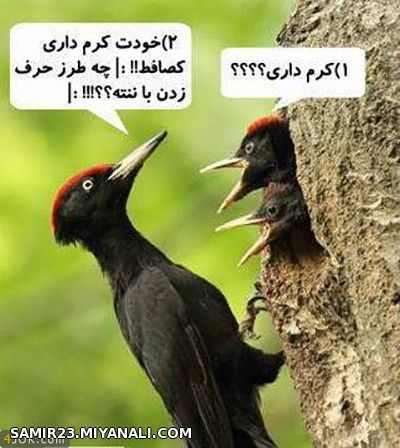 اینجور بچه ها رو باید کتک زد.خخخخخخخ