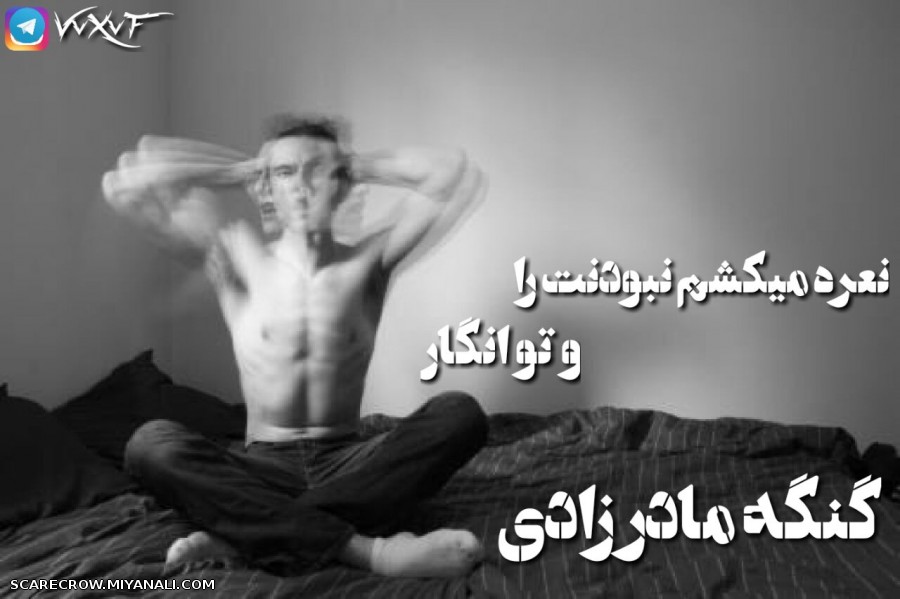 نعره میکشم نبودنت را