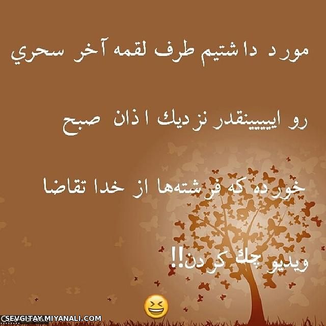 مورد داشتیم ..........