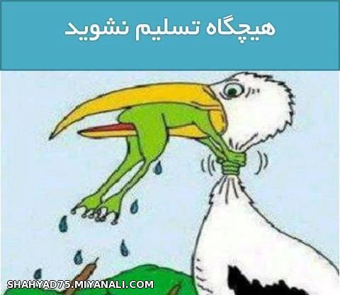 واقعا درسته