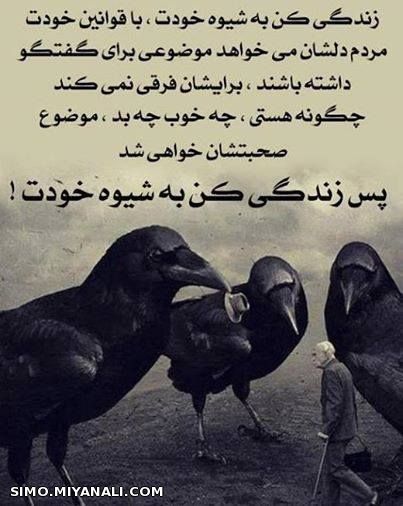 شیوه زندگی...