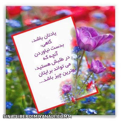 یه حرف عاقلانه