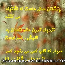 رابطه قلب و کمر