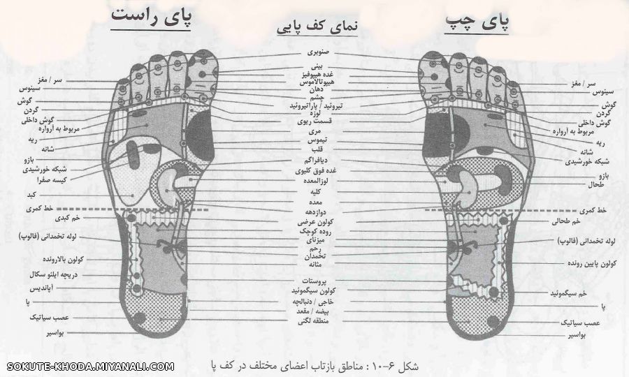 رابطه کف پا با سایر نقاط بدن