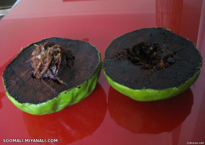 ساپوت سیاه: Black Sapote ساپوت سیاه یه میوه عجیب و غریب به نرمی گوجه فرنگیه که داخلش مزه پودینگ شکلا